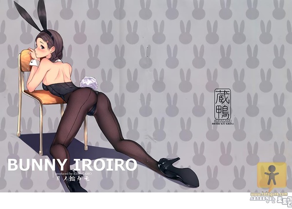 토토군 동인지망가 BUNNY IROIRO