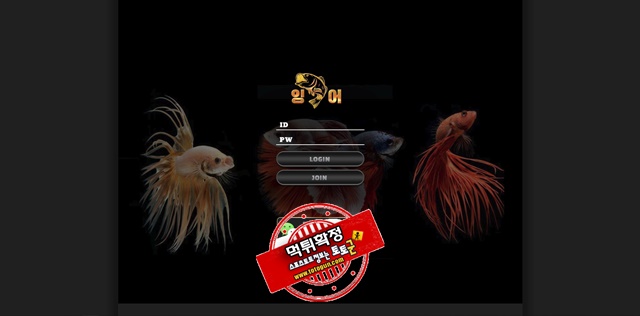 잉어 먹튀 먹튀사이트 확정 먹튀검증 토토군 완료