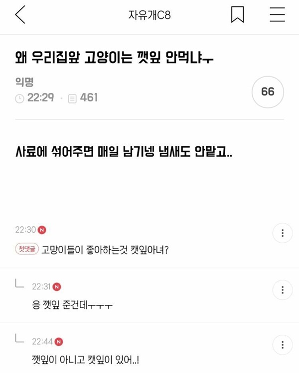 고양이가 깻잎을 안먹은 이유