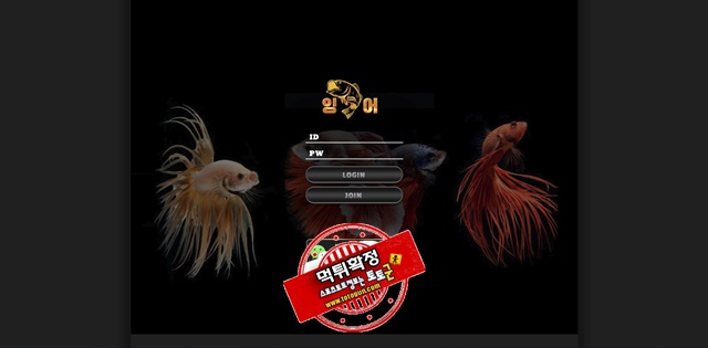 잉어 먹튀 먹튀사이트 확정 먹튀검증 토토군 완료