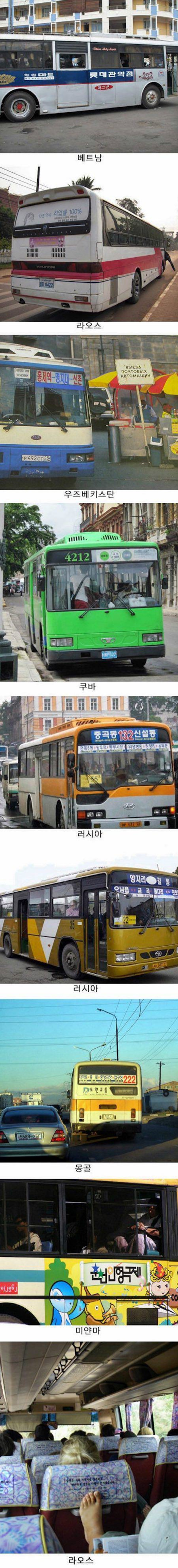 전 세계에 대한민국 버스