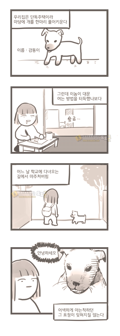 여대생 일상 만화