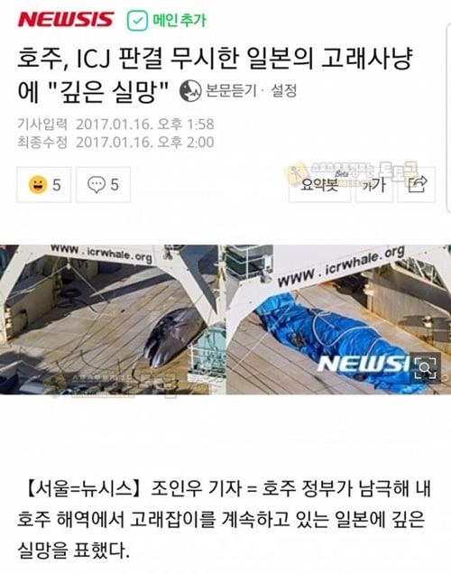 먹튀검증 토토군 유머 국제 질서 따위 무시하는 나라