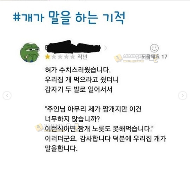 웃기고 황당한 리뷰모음