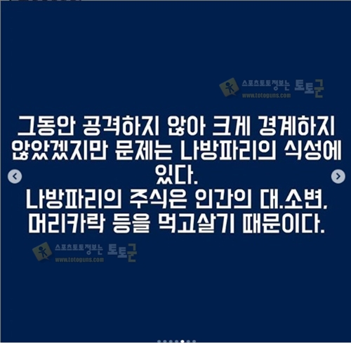 먹튀검증 토토군 유머 화장실에 서식하는 나방파리 완전박멸 꿀팁