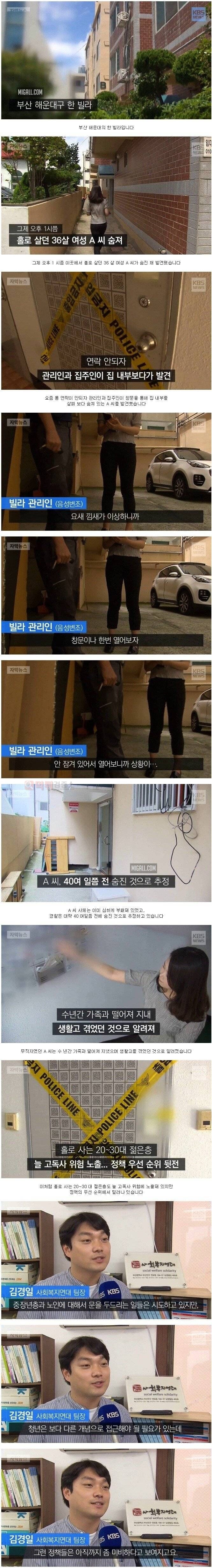 먹튀검증소 유머 부산 36세 여성 고독사... 드디어 공중파 KBS뉴스에 등장
