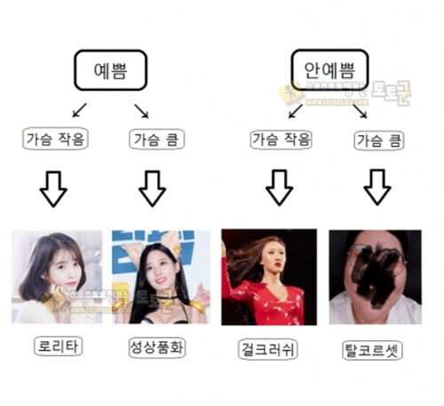 먹튀검증 토토군 유머 여초식 알고리즘