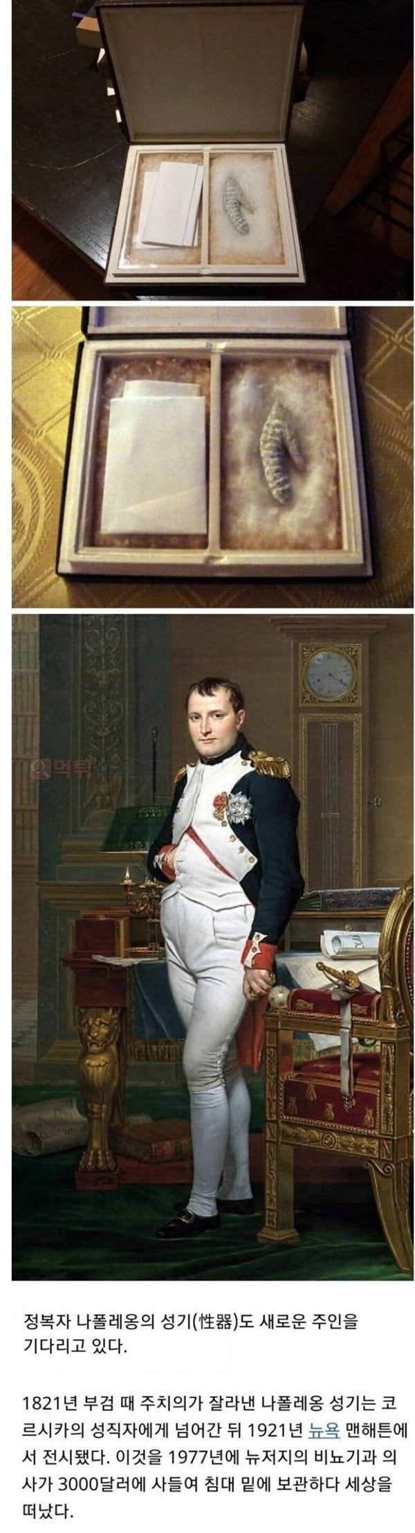 먹튀검증소 유머 나폴레옹의 유물
