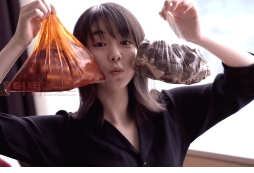 먹튀검증소 유머 한국을 좋아하는 일본배우