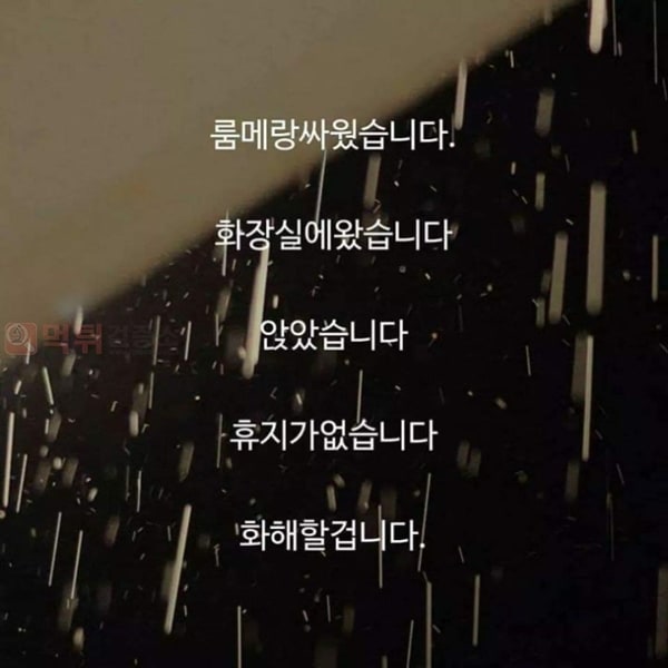 먹튀검증소 유머 룸메랑 화해해야하는 이유