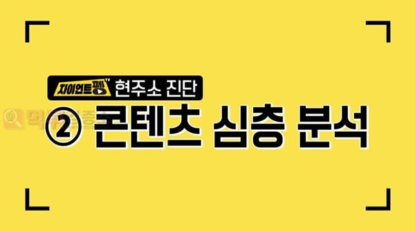 먹튀검증소 유머  EBS 캐릭터 펭수 현주소 진단