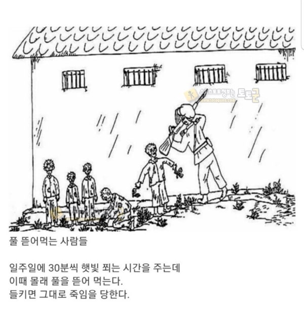 먹튀검증 토토군 유머 탈북자가 그린 북한 수용소
