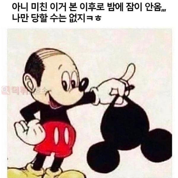 먹튀검증소 유머 충격 미키마우스의 진실