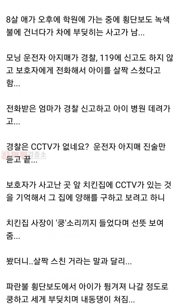 먹튀검증소 유머 '살짝 스친?' 초등학생 교통사고