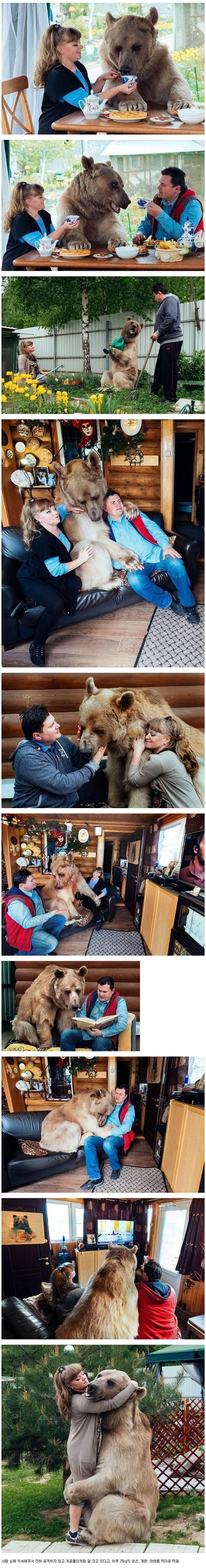 먹튀검증 토토군 유머 곰을 주워서 23년 째 키우고 있는 러시아인 부부