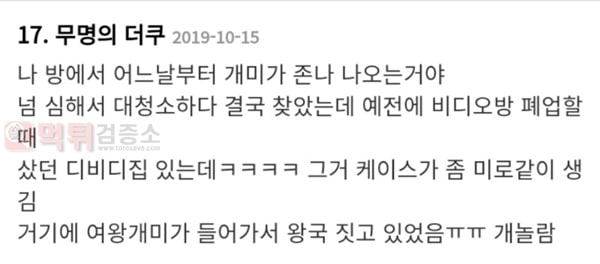 먹튀검증소 유머 여왕개미 주워옴