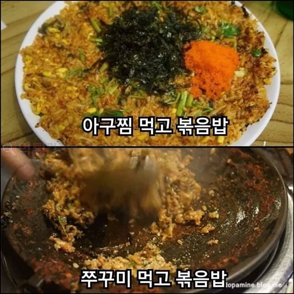 먹튀검증소 유머 밥에 미친 한국인들의 후식