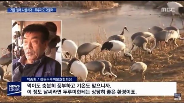 먹튀검증소 유머 겨울철새들도 피하는 일본