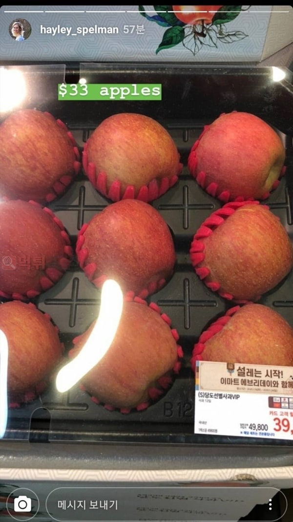먹튀검증소 유머 한국 과일 가격에 놀란 배구 용병