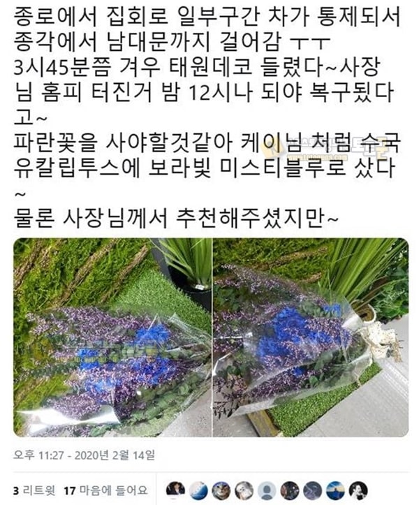 먹튀검증 토토군 유머 돈쭐 나고 있는 남대문 꽃집 근황