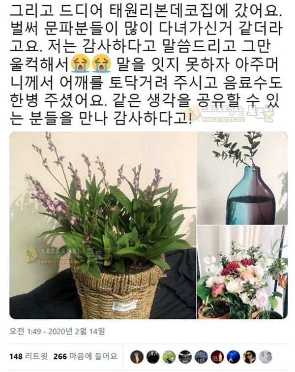 먹튀검증 토토군 유머 돈쭐 나고 있는 남대문 꽃집 근황