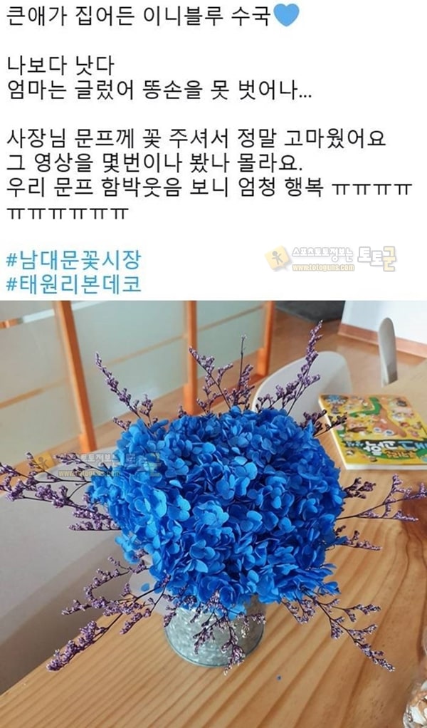 먹튀검증 토토군 유머 돈쭐 나고 있는 남대문 꽃집 근황