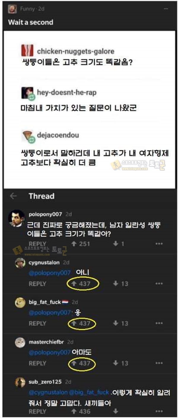 먹튀검증 토토군 유머 쌍둥이들은 고추 크기도 똑같아?