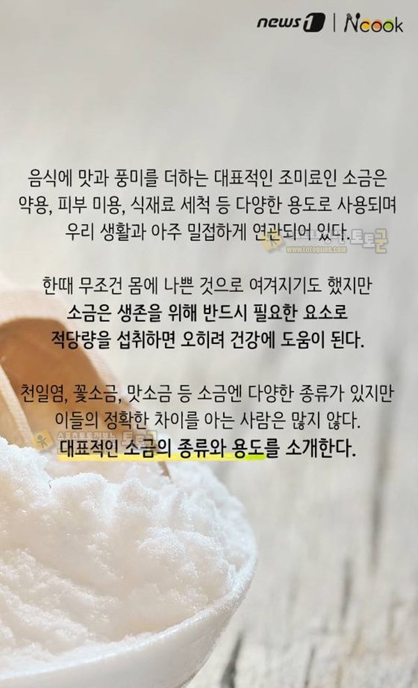 먹튀검증 토토군 유머 소금의 종류