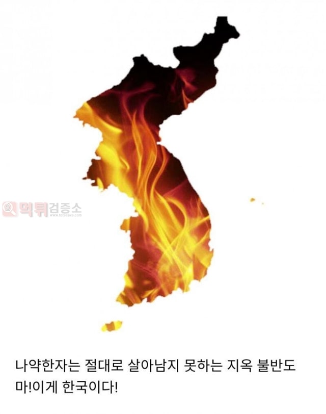 먹튀검증소 유머 야심차게 한국에 진출했던 용병들 근황