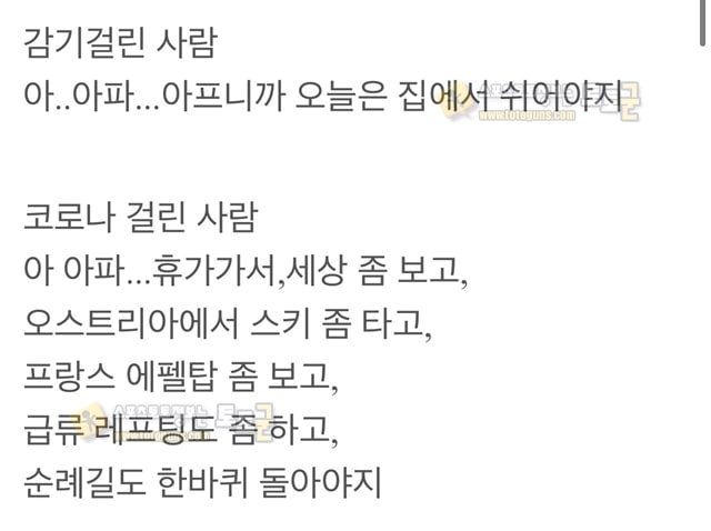 먹튀검증 토토군 유머 감기걸린 사람과 코로나 걸린사람 차이