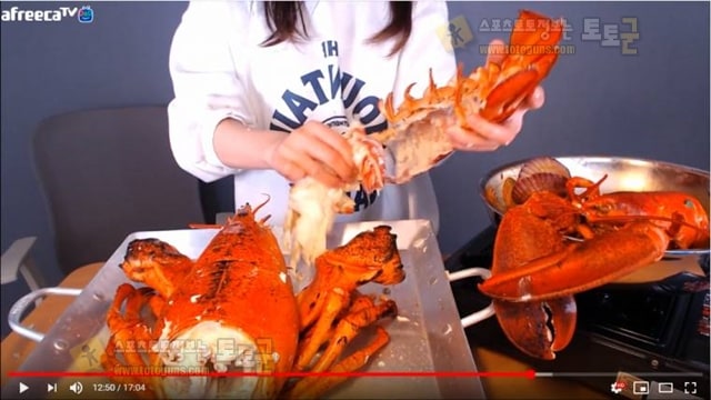 먹튀검증 토토군 유머 쯔양!? 랍스타 12kg! 얼굴만한 대왕 랍스타와 해물가득 라면 먹방