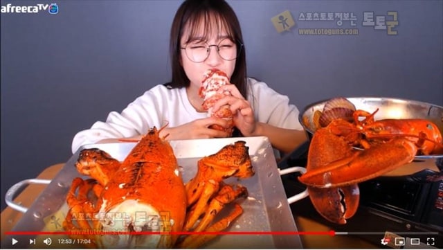 먹튀검증 토토군 유머 쯔양!? 랍스타 12kg! 얼굴만한 대왕 랍스타와 해물가득 라면 먹방