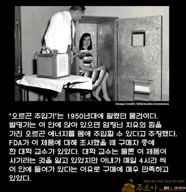 주소야 유머 모든걸 알면서도 사기당한 대학 교수