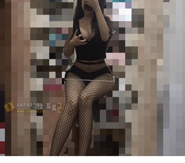 먹튀검증 토토군 포토 토끼 누나 2