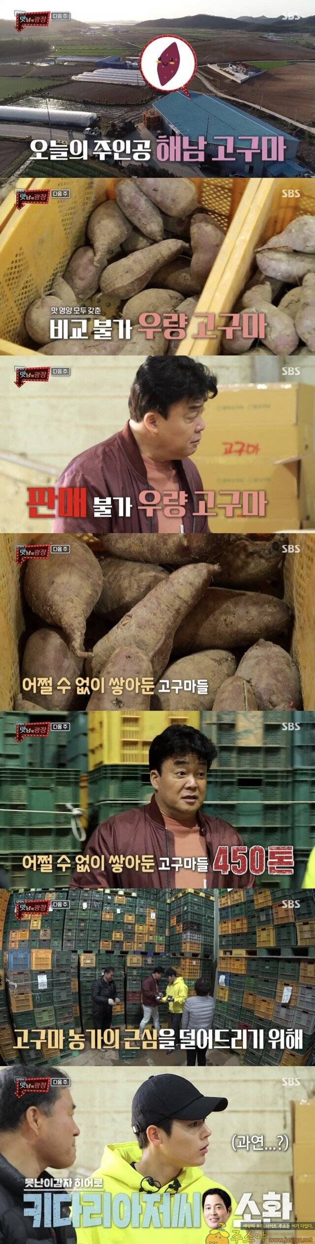 주소야 유머 감자 30톤에 이어 고구마 300톤 팔게 된 백종원과 이마트