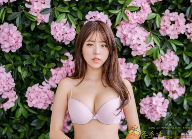 주소야 포토 핑크 팬티브라