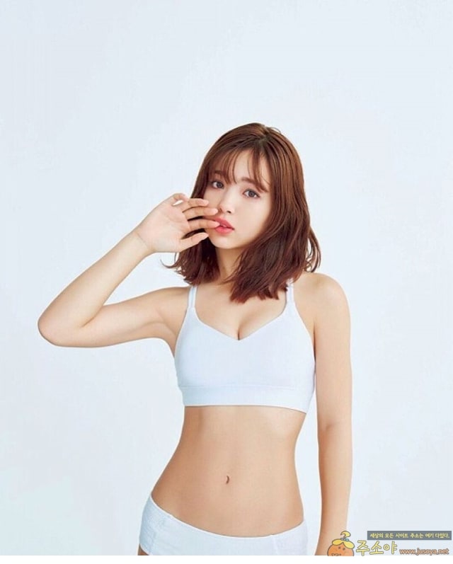 주소야 포토 후지타 니콜