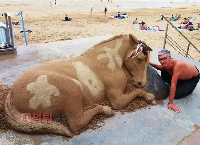 먹튀검증소 유머 모래 예술