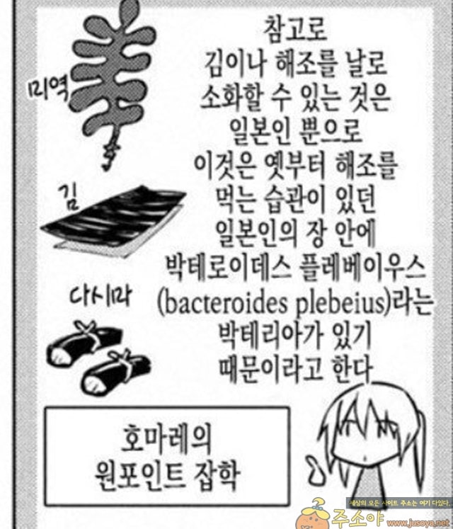 주소야 유머 전세계에서 일본에만 존재하는 것들