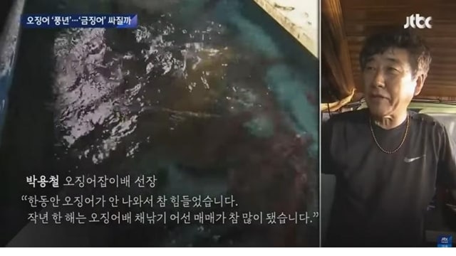 주소야 유머 풍년이라는 오징어 싸게 먹는법