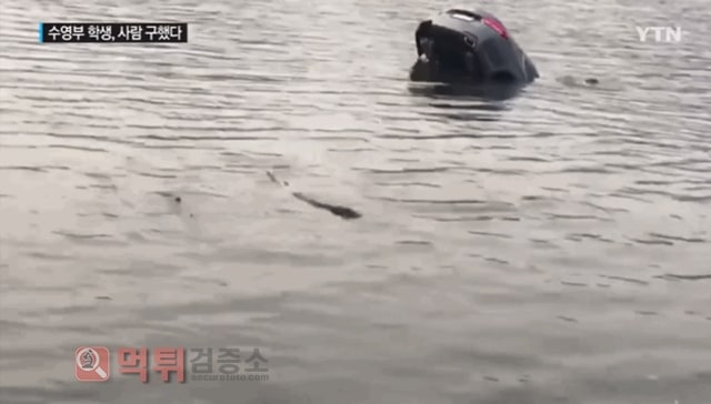 먹튀검증소 유머 물에 빠진 사람 구한 고등학생들