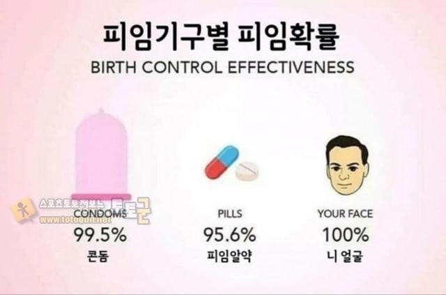 먹튀검증 토토군 유머 피임 기구별 피임확률