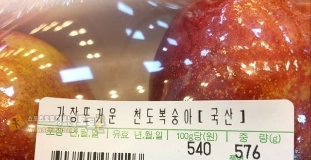 먹튀검증 토토군 유머 어서와 우리 마트는 처음이지?