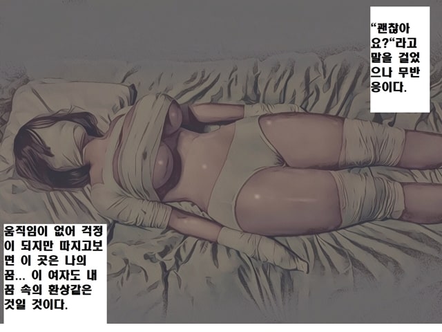 주소야 동인지망가 자각몽의 폐허 하편