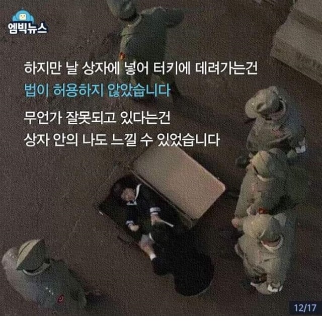 주소야 유머 푸른 눈의 병사와 고아소녀 아일라