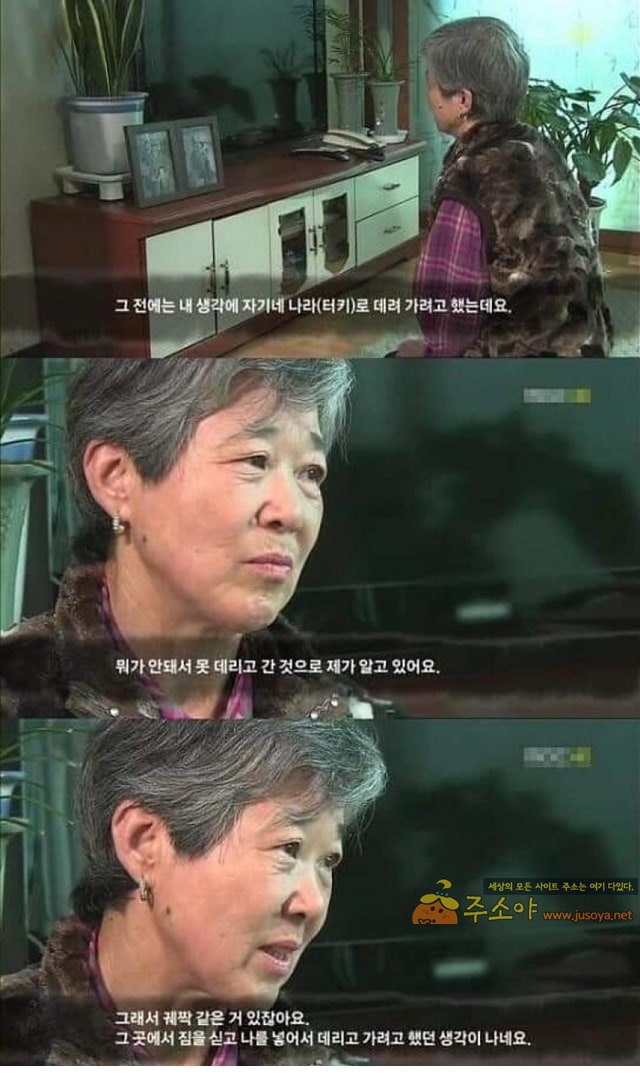 주소야 유머 푸른 눈의 병사와 고아소녀 아일라