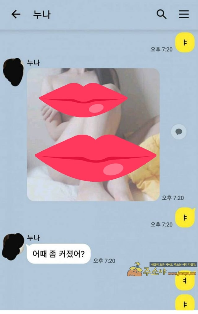 주소야 유머 카톡 잘못 보낸 누나