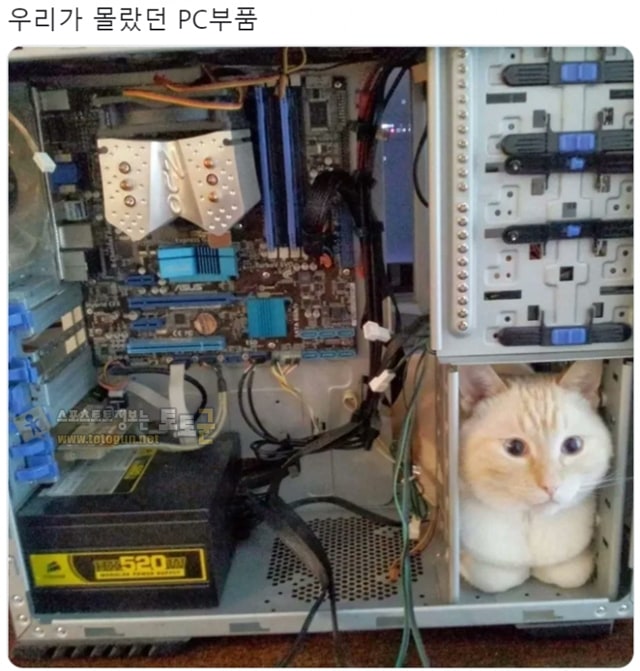 먹튀검증 토토군 유머 우리가 몰랐던 PC부품