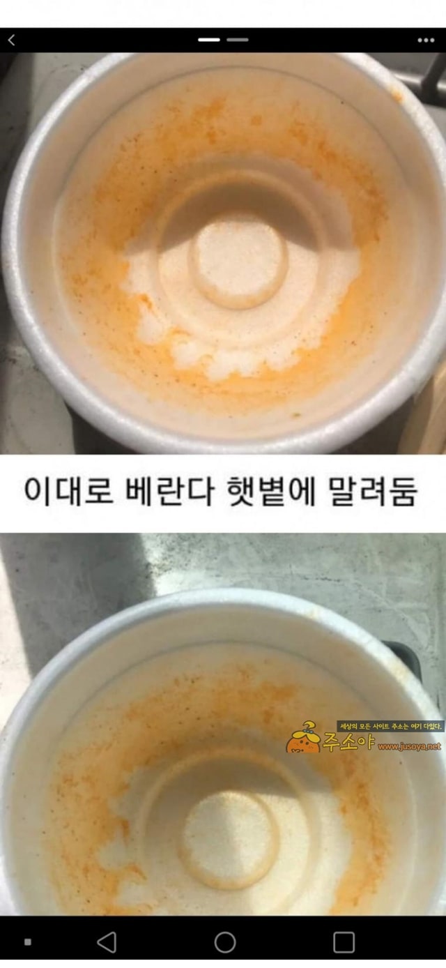 주소야 유머 컵라면 용기 햇빛 설거지