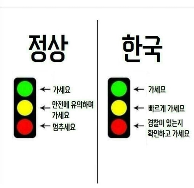 주소야 유머 신호등의 의미